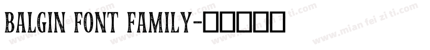 balgin font family字体转换